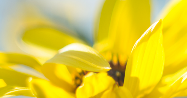 “The privilege of a lifetime is being who you are.” 
― Joseph Campbell