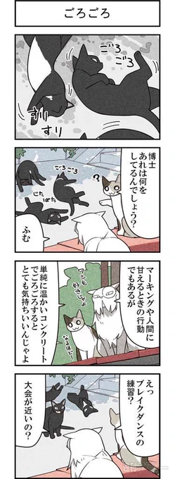 猫が地面でごろごろするのはいろんな理由があるらしいよ! 週アスCOMIC「我々は猫である」スペシャル版その1 - 週アスPLUS http://t.co/iSUS2gCvNS 