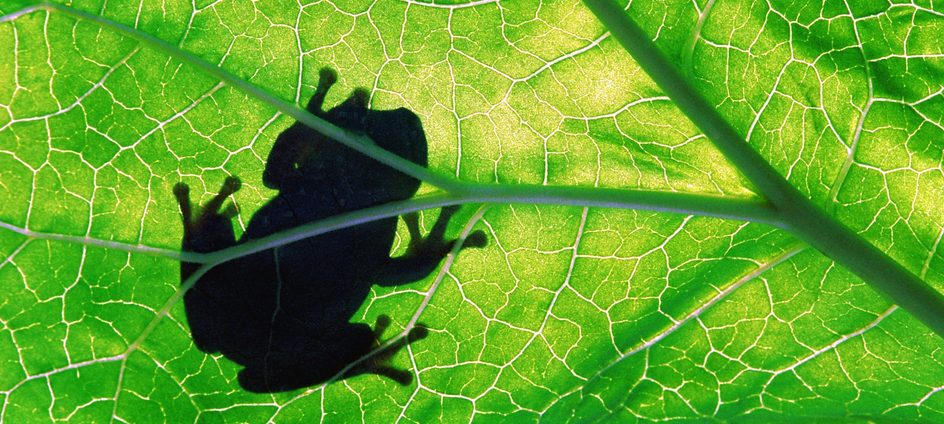 Lolly Daskal tweet media