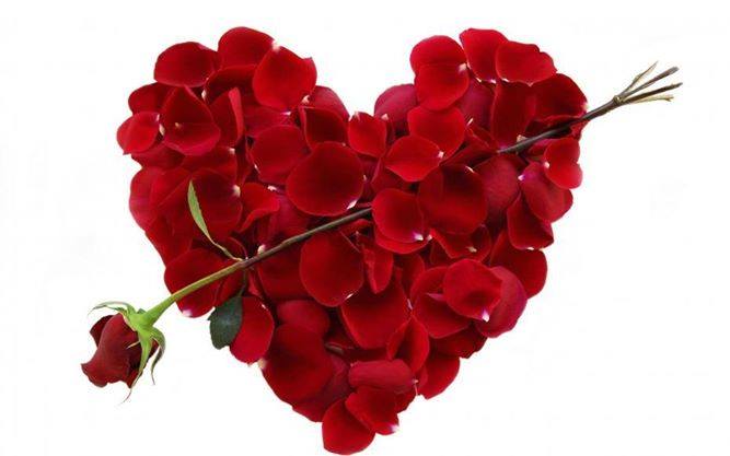 AmelBenam's tweet photo. @Mosab_AlKhateeb #الجيش_المصعبي #مصعب_الخطيب #Algeria http://t.co/z0LOPSyWLe