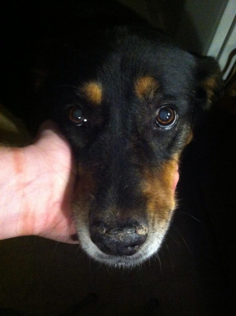 OTCWband's tweet photo. Go vote for us to be the artist of the month!  You can't resist this face. http://t.co/JG4gQoy05C http://t.co/cymZfCFTTW