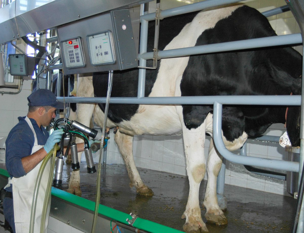 Portafolioco's tweet photo. ¿Sobreoferta de leche en el país? http://t.co/4DSBADbHlK http://t.co/0NpBrtY0QZ