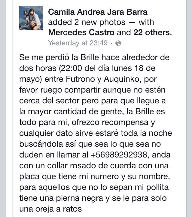 pewos's tweet photo. URGENTE PEWITA PERDIDA.A DIFUNDIR PLZ!! http://t.co/3miCMBq9m6 @PerrosPerdidos @ClubPatitas @Katherinetvn @KathySalosny @adogtamecl
