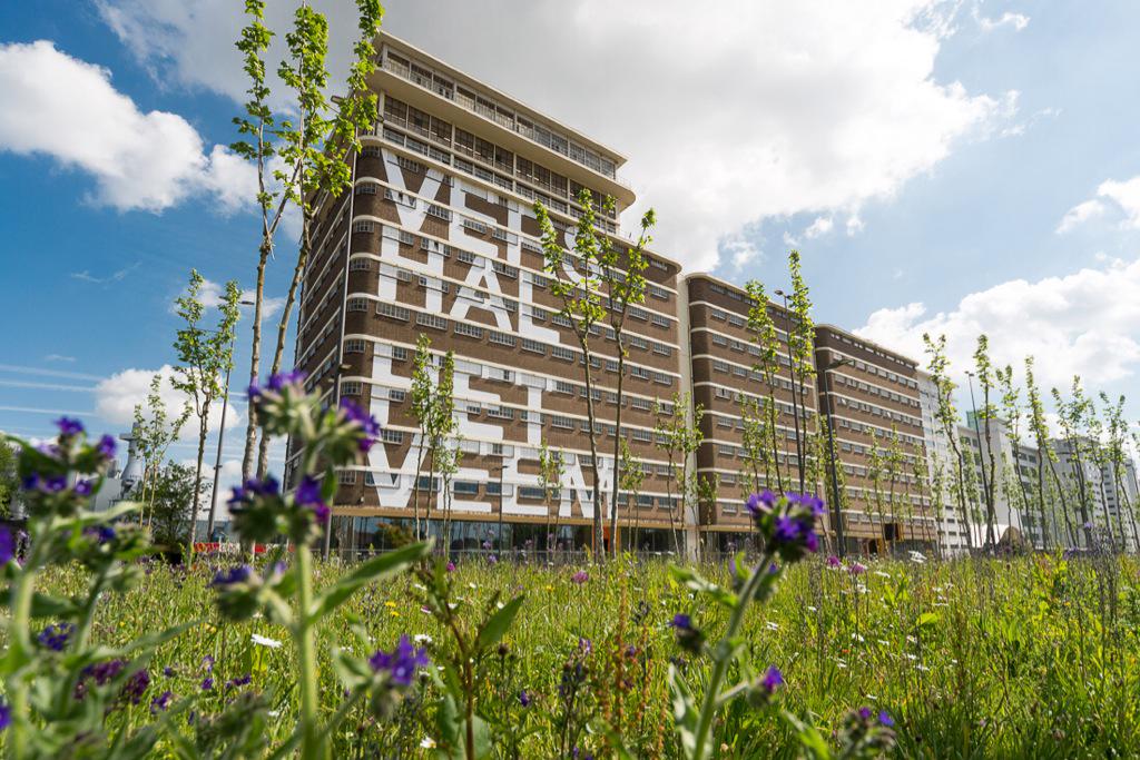 Vershal Het Veem tweet media