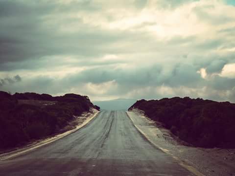 It's a long road ahead #givehimsomewater #gameonbro