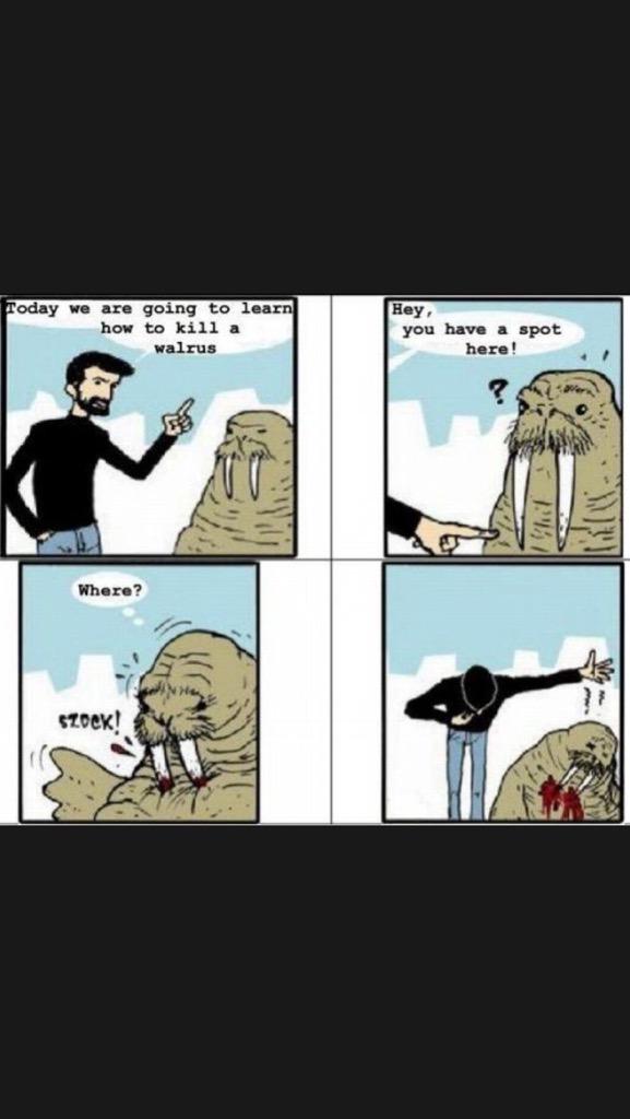 TheWalrusian's tweet photo. #WalrusProblems http://t.co/QXn5PS6yKo