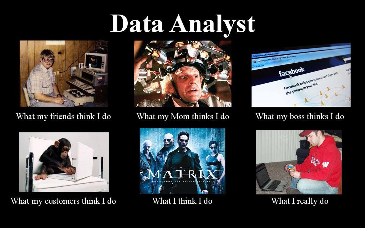 Prosperity on Twitter: "#Data #Analyst - what people think you do