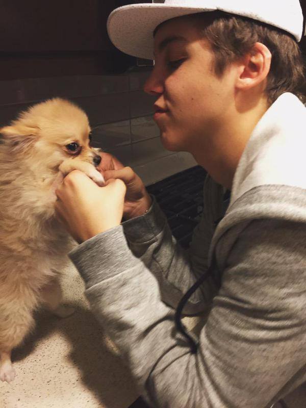 biebsespinosa's tweet photo. #RipWinnie one of the cuttest dog ever. so sad rn bc i can feel Carter's pain..stay strong @carterreynolds love u! http://t.co/Rp1ol3qbrJ