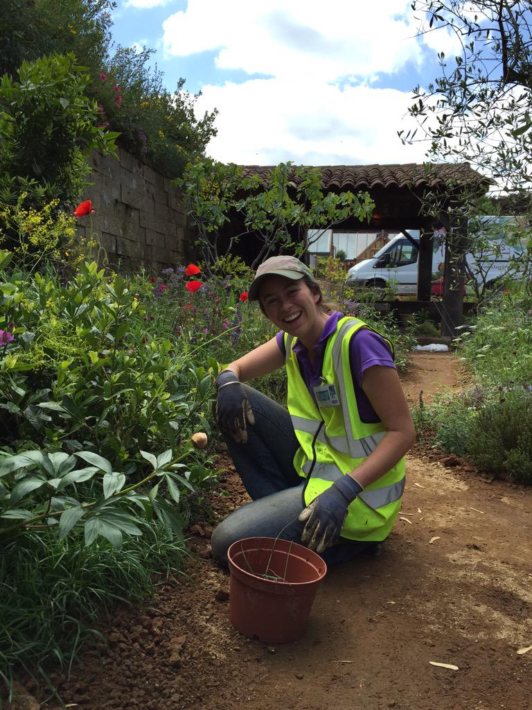 ChelseaPelly's tweet photo. @Kate_Grace1 grubbing for gold for @LOCCITANE_UK's #APerfumersGardenInGrasse by @BassonJames #RHSChelsea2015 http://t.co/W4wta6QCC2