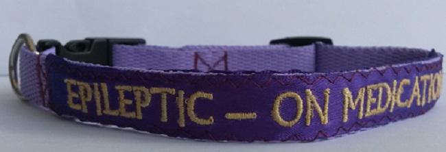 EviesPets's tweet photo. Make people aware of your dogs health should they get lost .. personalise their collar for peace of mind http://t.co/3Gnu9nD4yu