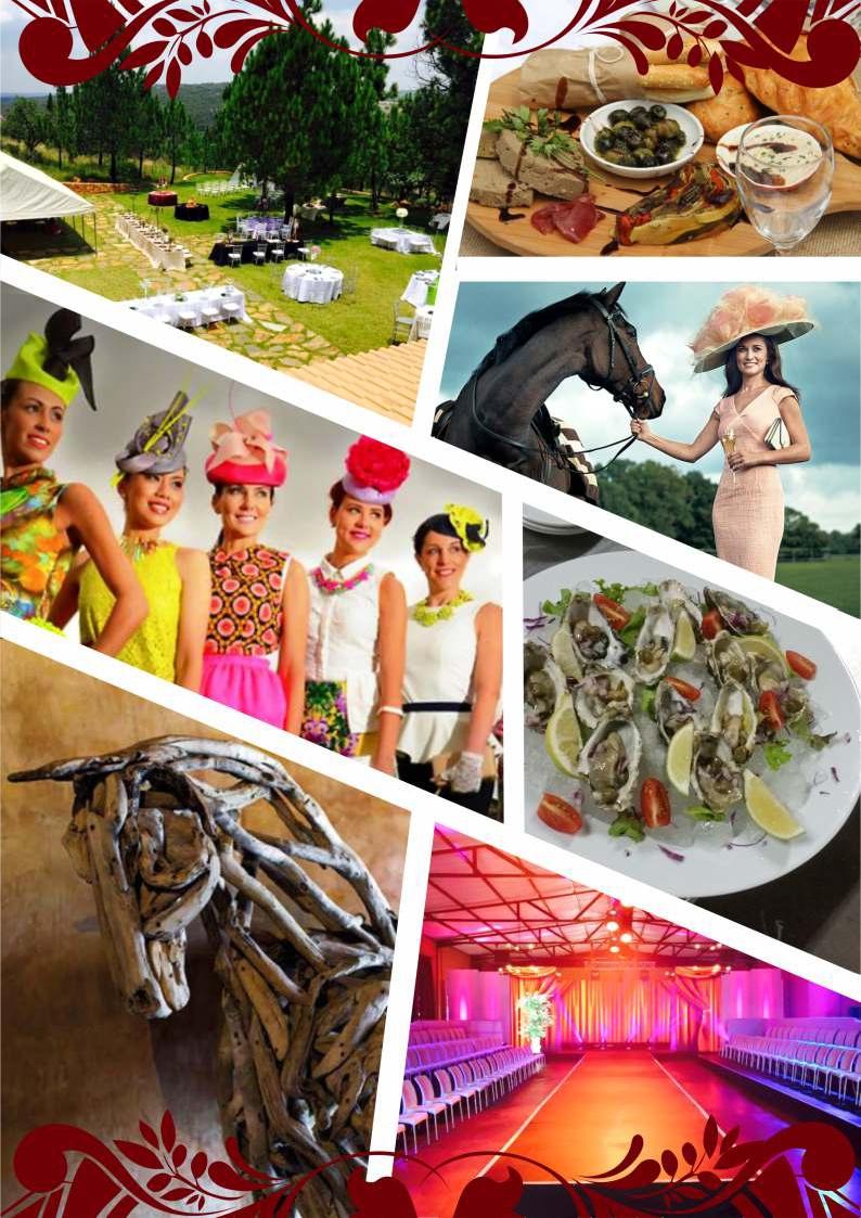 leonpheiffer's tweet photo. Awesome event Pretoria 4th of July Races here in Pta, Big Screens,Food, Wine, Fashion Shows, Bands #4thJulyatRacesPta http://t.co/OAfMzEEkiA