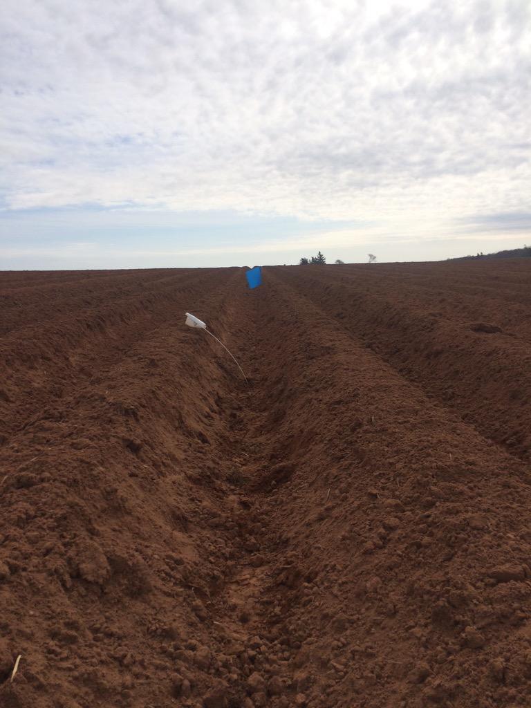 WaughJ2's tweet photo. First Myke Pro Potato L in the ground in PEI today #plant15 #MykePro #PEI http://t.co/GNWTGAOSV3
