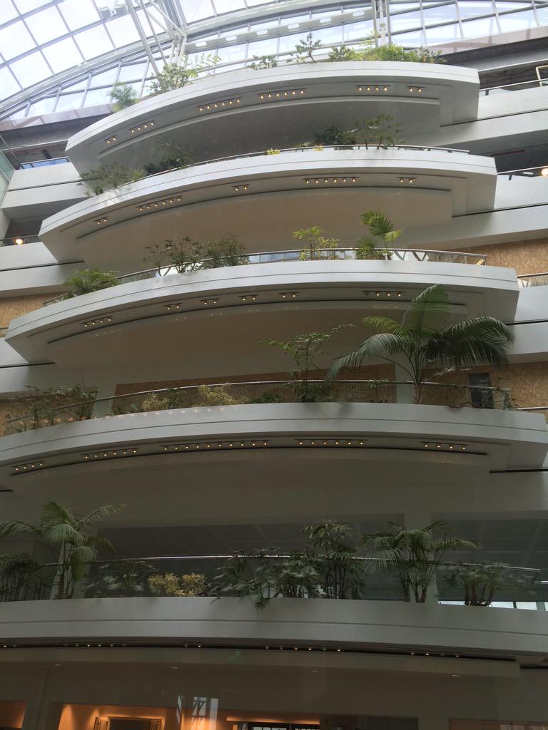 Rob de Kuiper tweet media