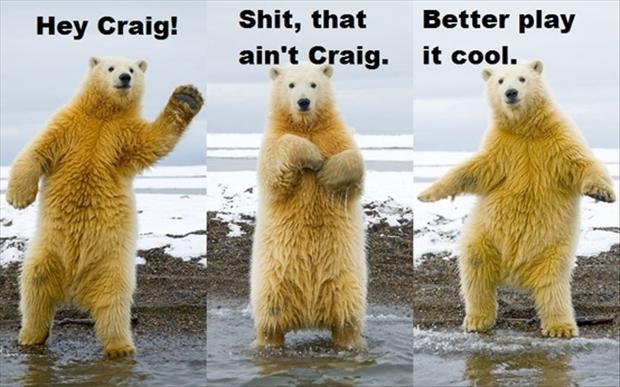 BearGrooves's tweet photo. CRAIG?! http://t.co/hOXNrbAdxv