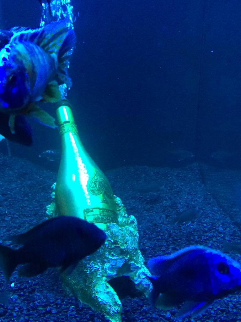 EvaApps's tweet image. Ace of spade champaign idea by David Manal