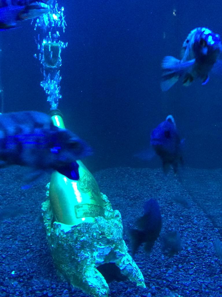 EvaApps's tweet image. Ace of spade champaign idea by David Manal