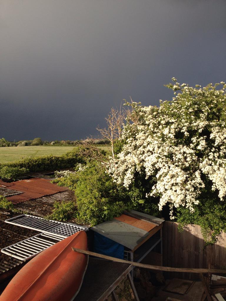 DanaWW29's tweet photo. Beautiful Blossoms and Stormy Skies http://t.co/ck7NzwenSt