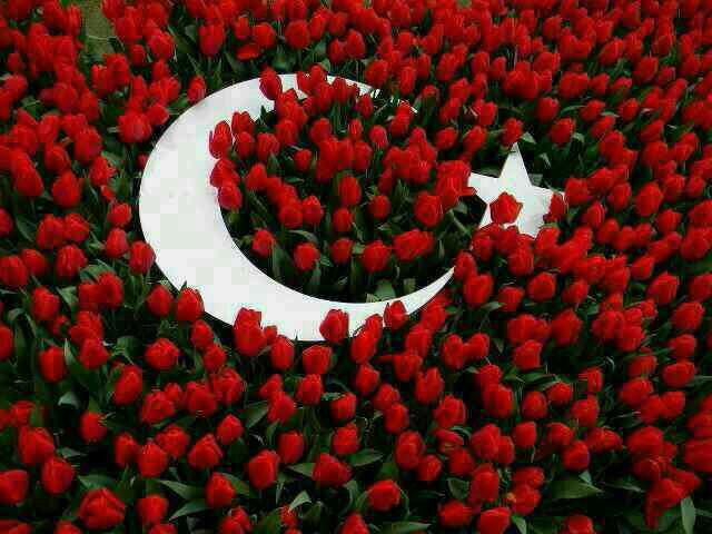 BayatBekir's tweet photo. http://t.co/k63ud3WzVA