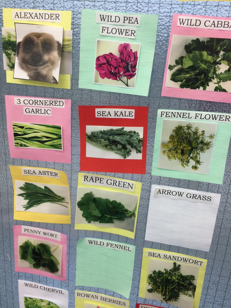 bencrouch123's tweet photo. Millie's forage foods chart at work @liamwilson23 http://t.co/0kPS5FsFu5