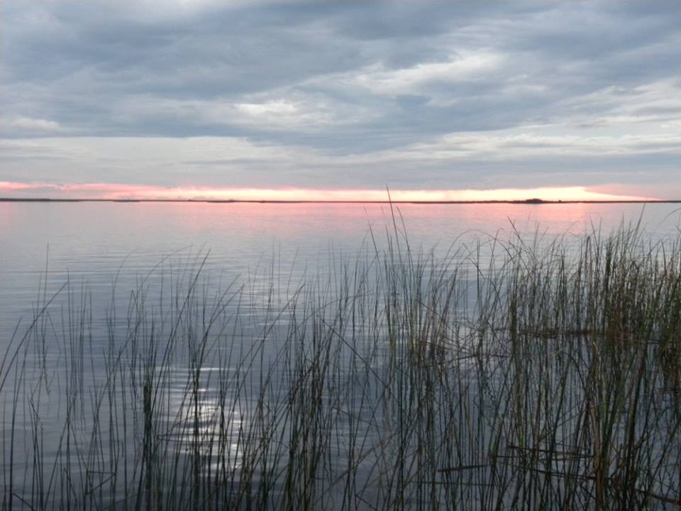 mperezmarquez's tweet image. @DesTurArg @ParquesOficial @AvesArgentinas en #profode Iberá promocionando la #observaciondeaves junto a @minturprom