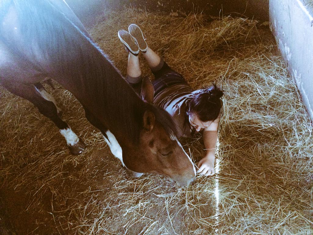 CCMVillen's tweet photo. I miss my bay💜🐴 http://t.co/g9gQNi9yAa