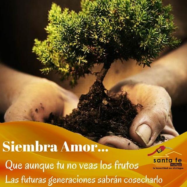 SantaFeMultigas's tweet photo. Hoy día del árbol los invitamos a sembrar amor http://t.co/S1zSmpZlKy