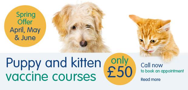 BushyParkVets's tweet photo. @TwitTeddington @Teddington_Town @Goodvetguide @TeddingtonSch @TeddingtonTrust @SacredHeartTedd pls retweet! http://t.co/lIRWq2KS1r