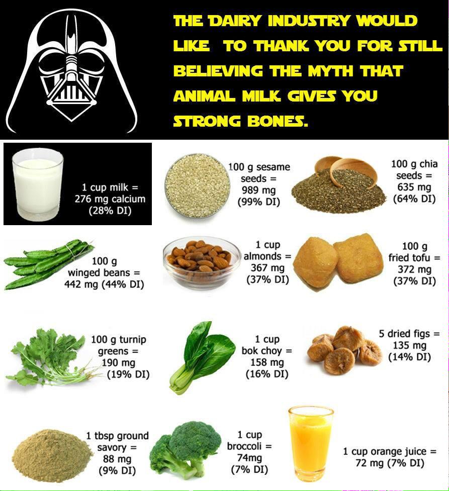 wpgveganmeetup's tweet photo. Mm, calcium! http://t.co/JkLO9HOTTT