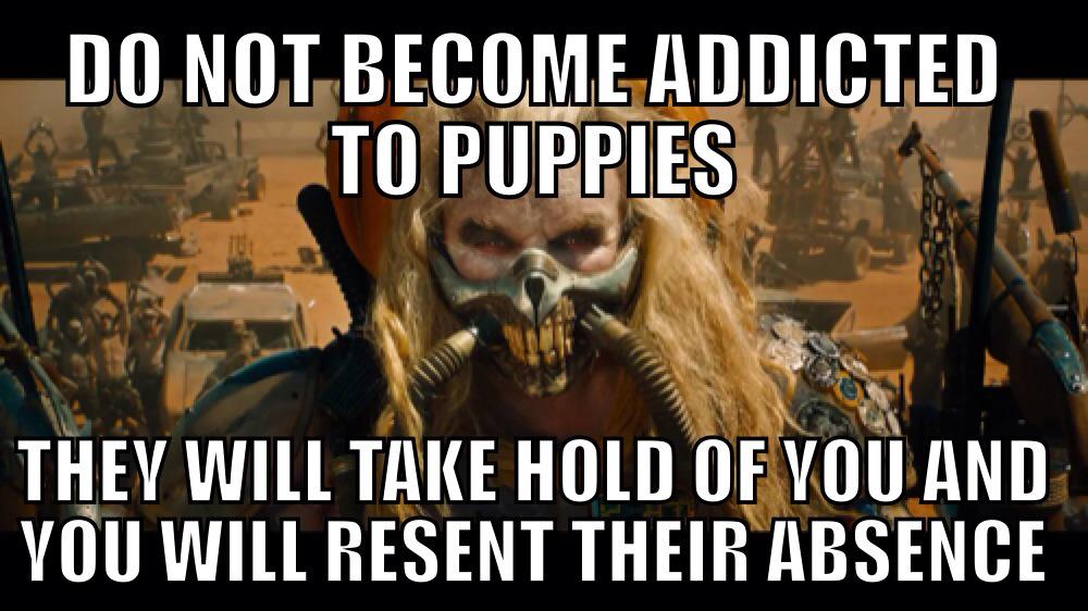 DarkSchneid's tweet photo. Sometimes you just need some Immortan wisdom from #MadMax http://t.co/fUZIlB0XTq
