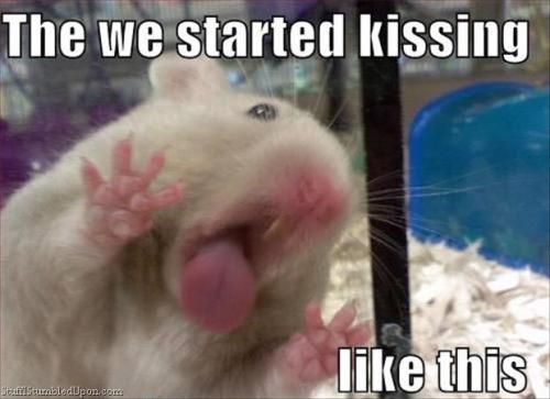 Over50DatingNZ's tweet image. Funny Animal Pics: funny-animals-pics.tumblr.com/post/530470498… #animalpics #funnyanimals