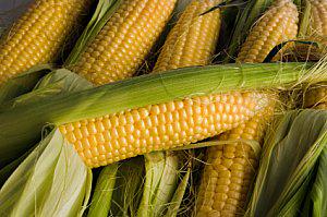 carverpeanuts's tweet photo. Corn is the new peanut... It's in almost everything! http://t.co/GjufdtgdzE