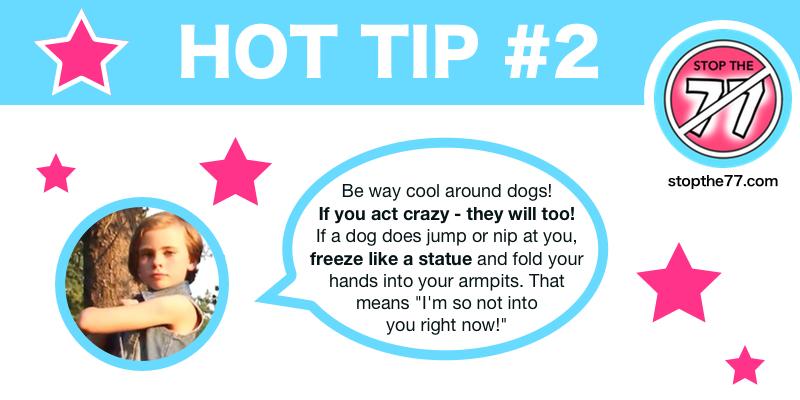 stopthe77's tweet photo. Today's hot tip - protect kids and save dogs! #bitepreventionweek #stopthe77 http://t.co/Reuz7rkCTI
