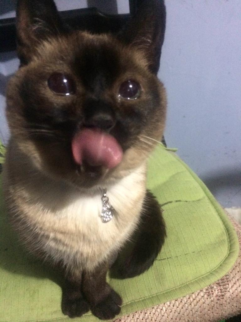 ZashaNick's tweet photo. I love you  pipichus http://t.co/BPa7cZTsVh