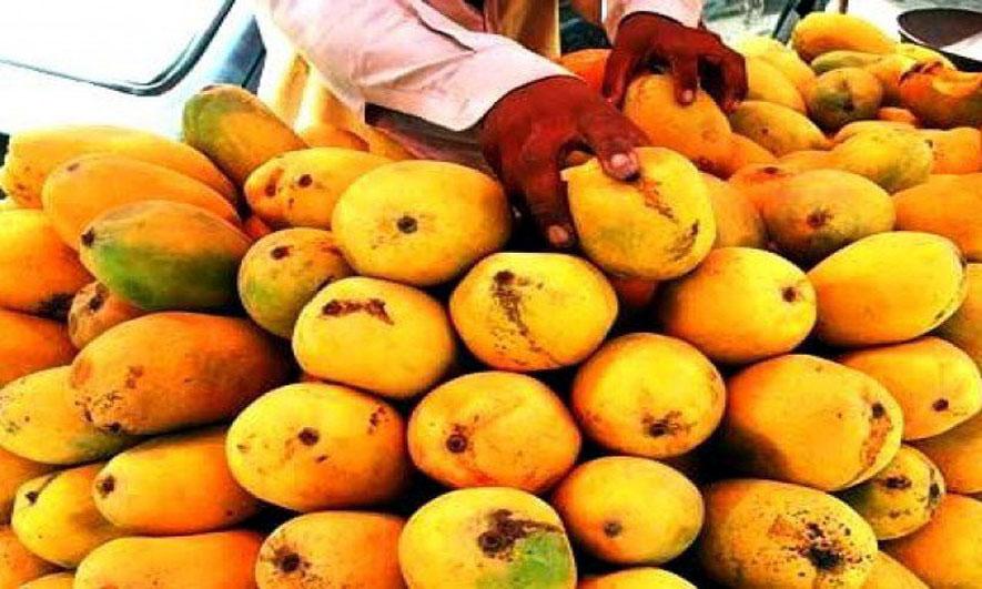 Pakistan_Views's tweet photo. May 20: Mangoes Ready to Go
http://t.co/JADHu2YwEi
#PakistanMango http://t.co/WTU82VhF7s