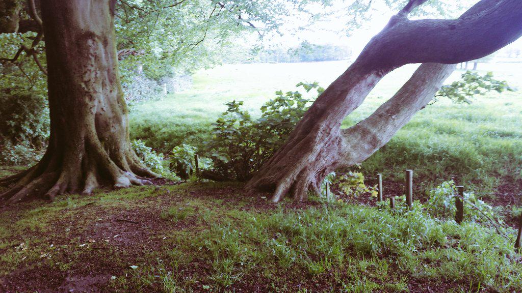 OTlottie's tweet image. #otcomm Alfreton park- our community is blessed to have such a beautiful green space!