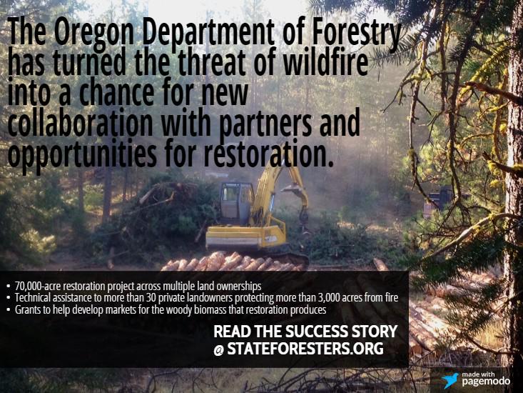 StateForesters's tweet photo. With support from the @forestservice, @ORDeptForestry is achieving its Forest Action Plan http://t.co/QNsdMW8Bu4 http://t.co/Q0Ughe2yxD