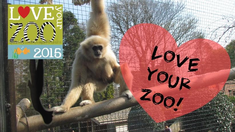 WelshMountainZo's tweet photo. It's not long until we celebrate @BIAZA's Love Your Zoo Week. What do you love about the Zoo? #WMZoo #LYZ15 http://t.co/ynK0ZwhFh0