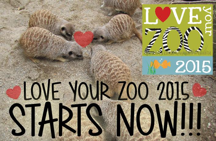 WelshMountainZo's tweet photo. It's 9.30am and the Gates are open! IT'S LOVE YOUR ZOO WEEK! @BIAZA #WMZoo #LYZ15 http://t.co/IzFD7IsL0E