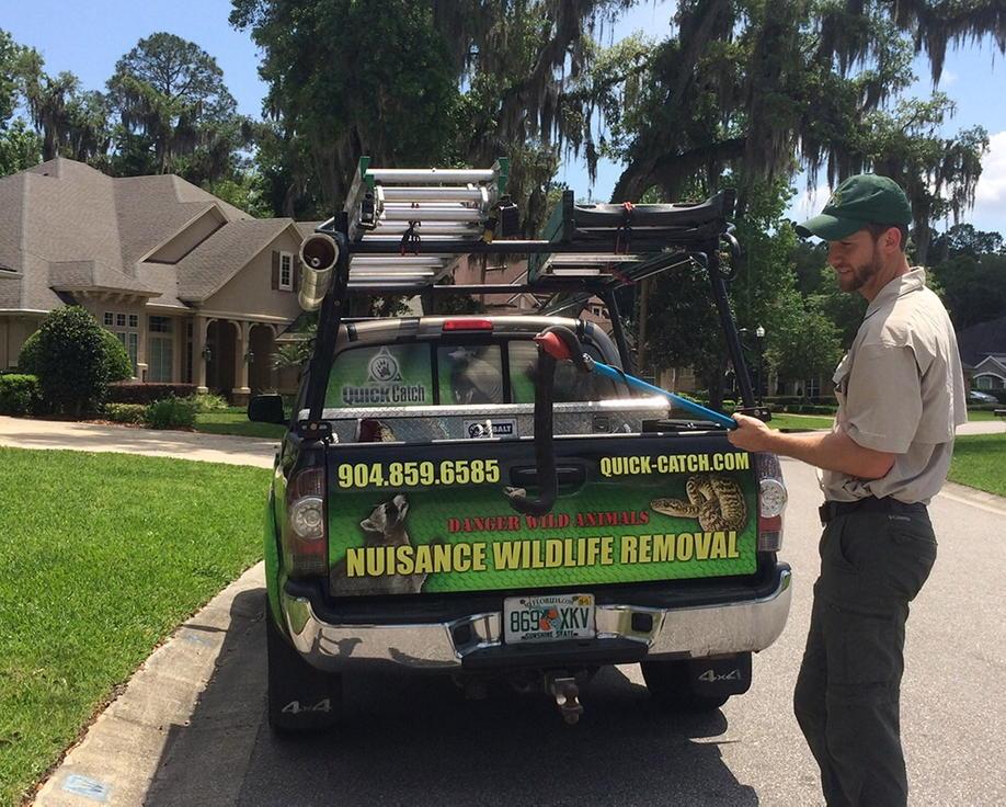 QuickCatch's tweet image. Can you guess the 3 animals that we regularly are hired to catch and removed? #Jacksonville
quick-catch.com/animal-capture…
