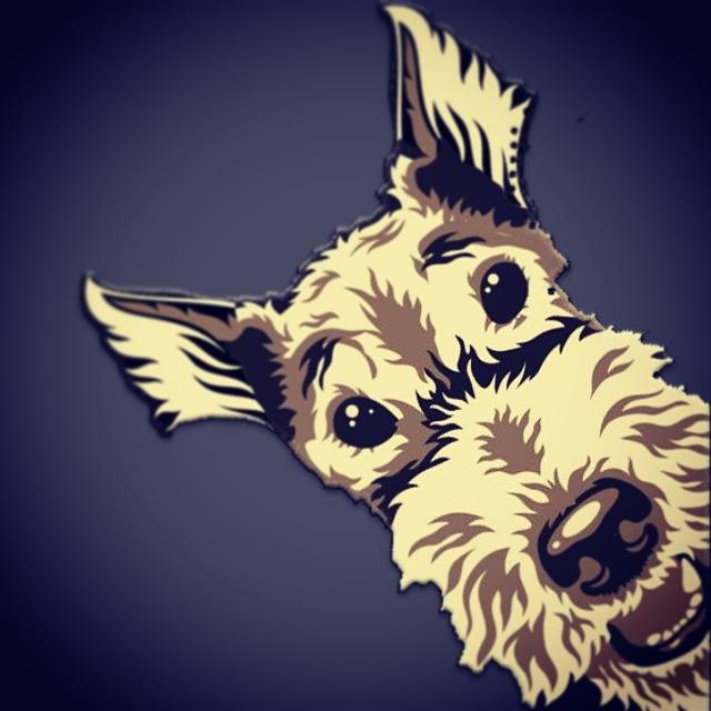 #Scallywag has lost his monocle and his ears are looking rather startled! All shall be revealed...