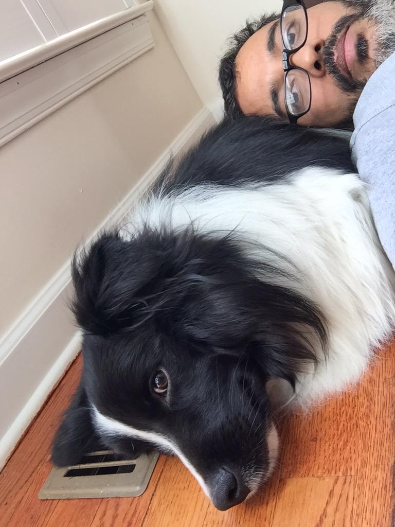 Anuram5799's tweet photo. Help to relocate my pet dog sammy from Atl to gru.@Delta refused.Alternate options unclear. Before this month end http://t.co/zSoT3HdVvi