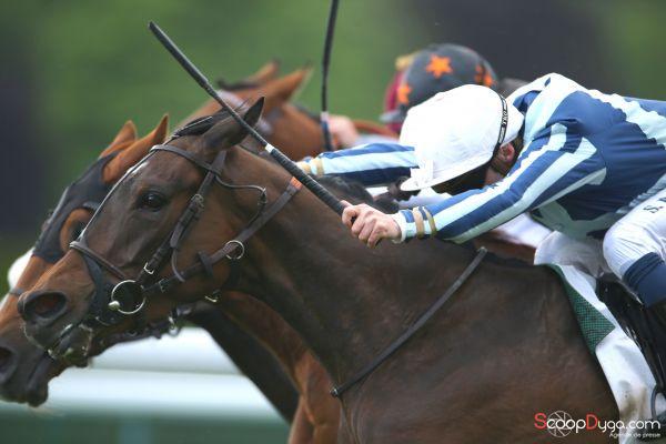 Longchamp.15h20.Victoire d'un nez de FAUFILER le pari gagnant de Thierry Leger diffusé sur Europe1 à 5H18 .
