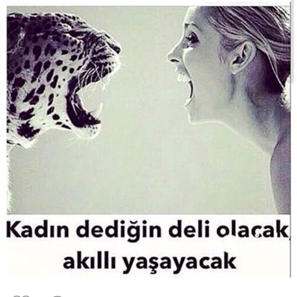 Delikombin's tweet photo. #tam #beni #anlatıyo http://t.co/9IBmgv5Sp4