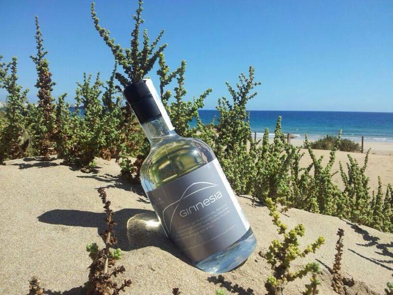 ginnesia's tweet image. En la playita................