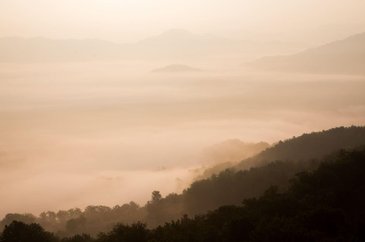 RnfrstAlliance's tweet image. What's the quality of air in your area? The results might not be pretty: bit.ly/1PRvLCD via @LungAssociation