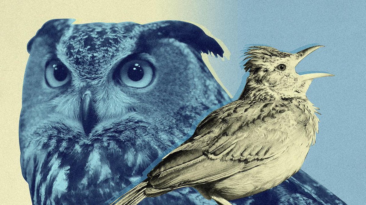 FastCompany's tweet photo. What scientists know about the differences between morning people and night owls: http://t.co/qdzkLQEMHe http://t.co/27k3FheULW