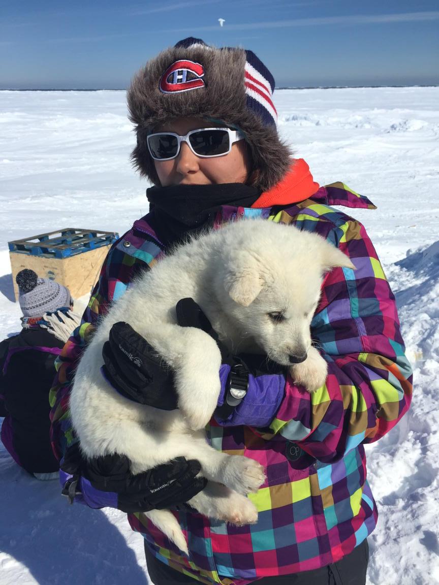 MoiraSSnews's tweet photo. Mackenzie with one of the dogsled puppies in Hall Beach. #YMCAexchange @Amccaskill83 http://t.co/6JFhbAi6Cd