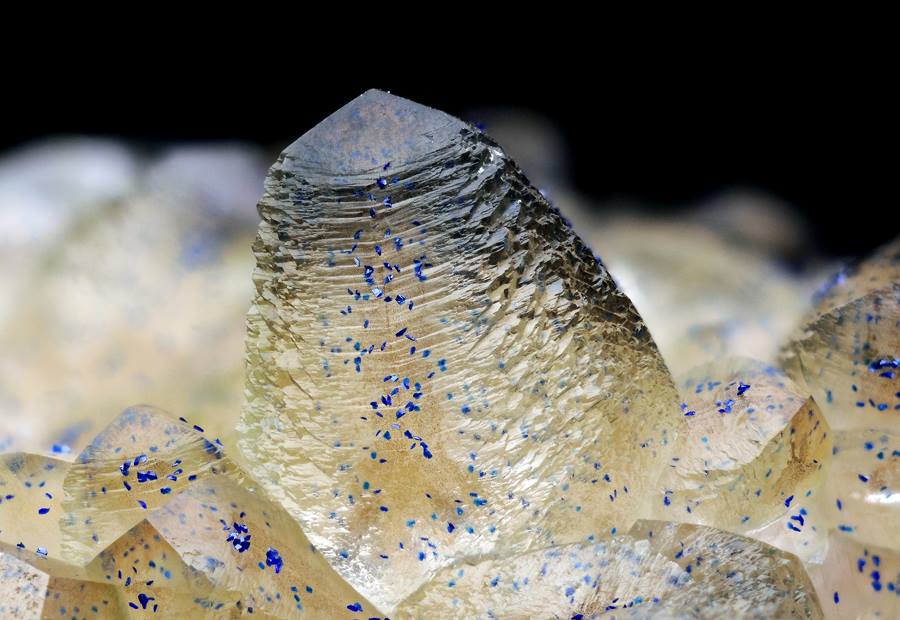 mineraltweets's tweet photo. Azurite over calcite.
Teresita mine, Asturias, Spain
Photo by Carlos Vilches #micromount https://t.co/5r6NJuAAe6 http://t.co/d7m5NIA33V