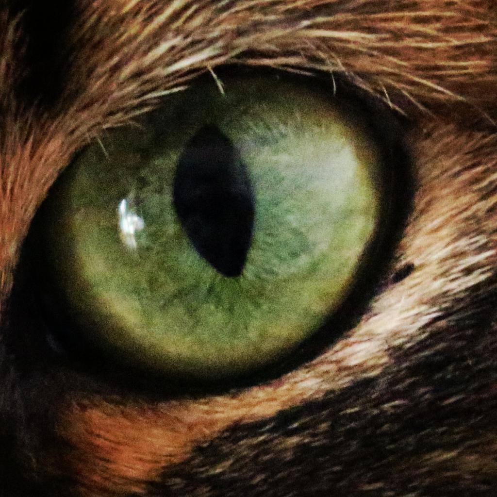 Sanan (@nan_otd) on Twitter photo 