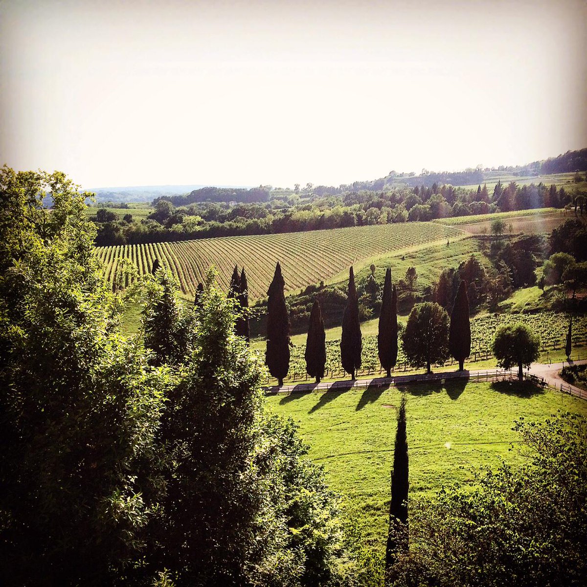 OsteriaEnotria tweet picture